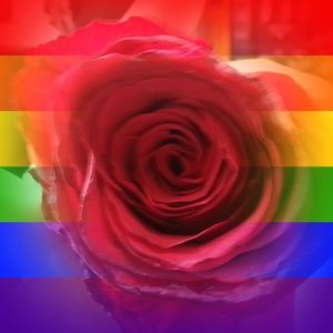 Meet your Posher, Mire